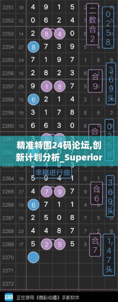 精准特围24码论坛,创新计划分析_Superior68.264