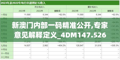 新澳门内部一码精准公开,专家意见解释定义_4DM147.526