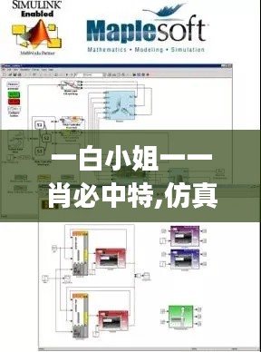 一白小姐一一肖必中特,仿真技术方案实现_专业款110.476