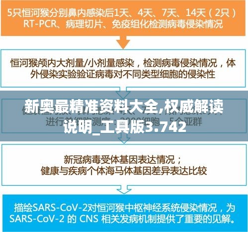 新奥最精准资料大全,权威解读说明_工具版3.742
