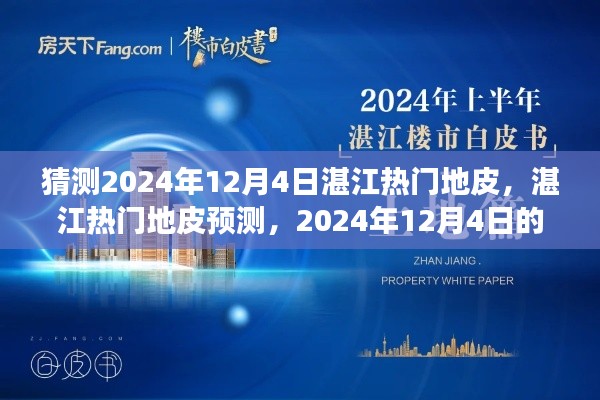 湛江热门地皮预测，展望与观点分析至2024年12月4日​​