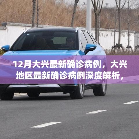 大兴地区最新确诊病例深度解析，特性、体验、竞品对比及用户群体全面剖析