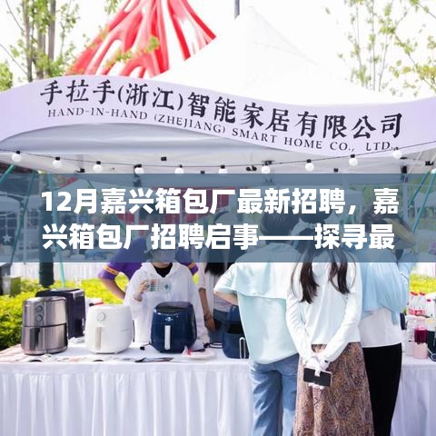 探寻最新就业机会，嘉兴箱包厂招聘启事及三大要点解析