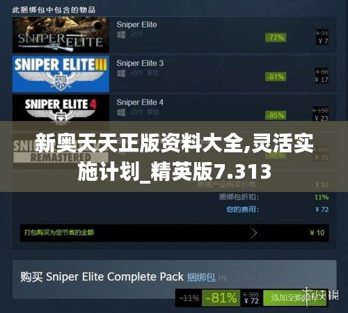 新奥天天正版资料大全,灵活实施计划_精英版7.313