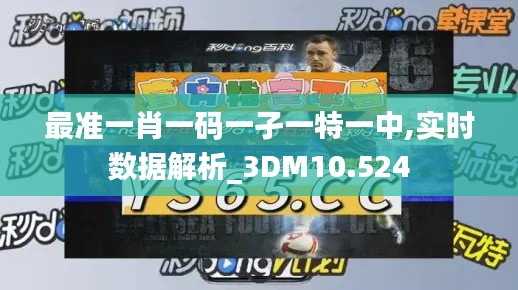 最准一肖一码一孑一特一中,实时数据解析_3DM10.524