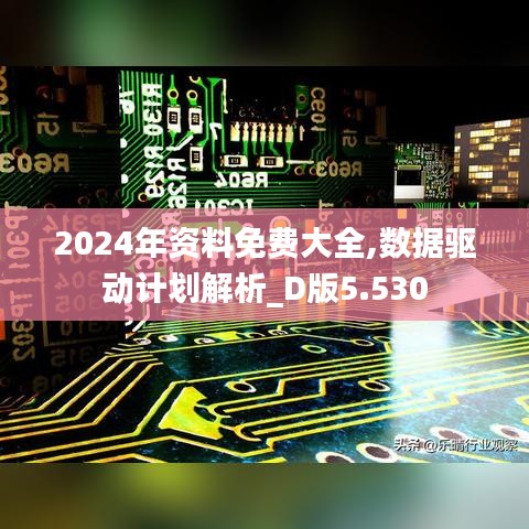 2024年资料免费大全,数据驱动计划解析_D版5.530