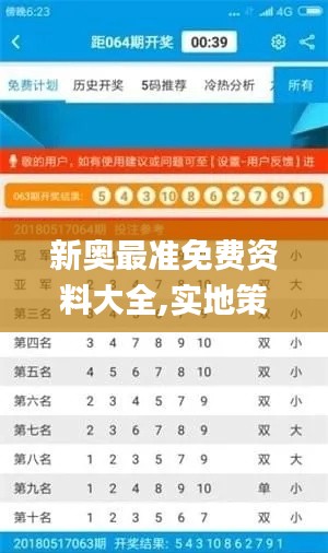 新奥最准免费资料大全,实地策略评估数据_RemixOS1.146