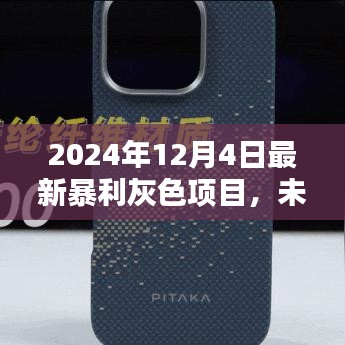 揭秘未来暴利灰色项目，智能生活体验革命先锋，引领行业新潮流（2024年最新）