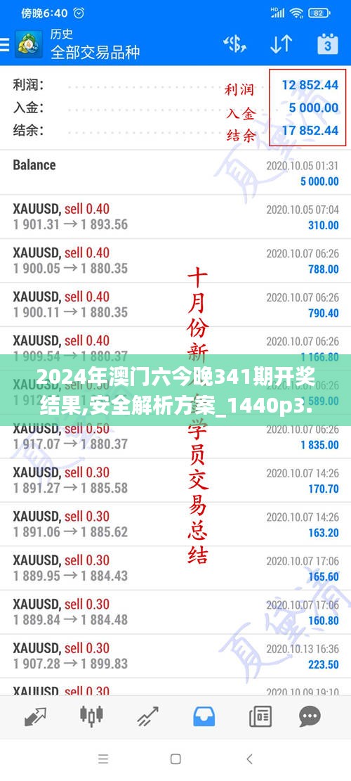 2024年澳门六今晚341期开奖结果,安全解析方案_1440p3.235