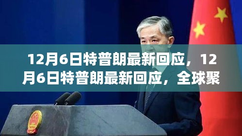 特普朗最新回应，全球焦点与未来展望