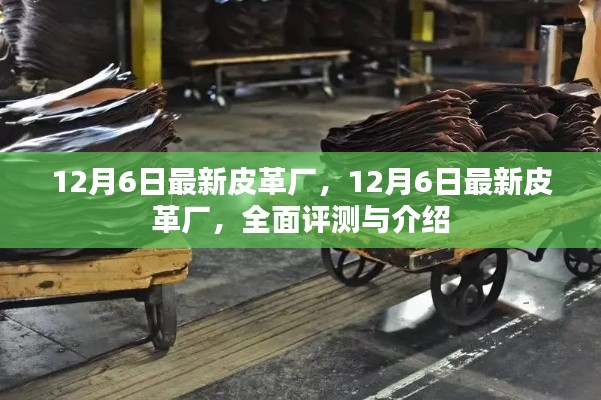 亮点解析