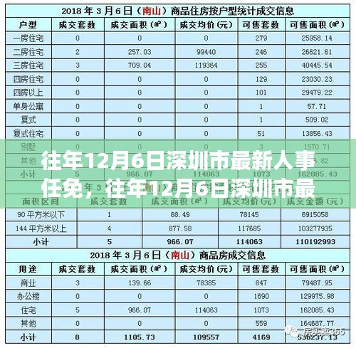 深圳市历年十二月六日人事任免概览，人事变动的深意与影响分析