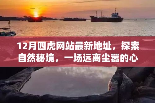 揭秘十二月四虎网站，心灵之旅探索自然秘境的新坐标