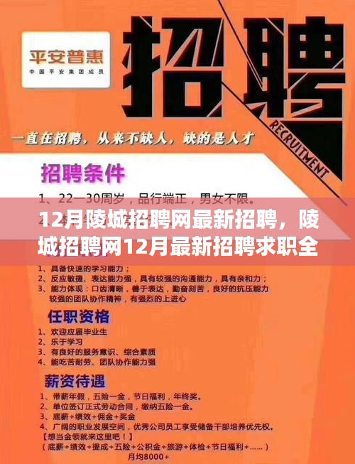 吉光片羽 第3页