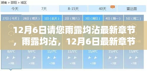雨露均沾，多元视角解读下的最新章节与深度剖析