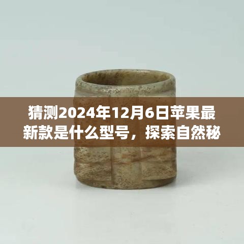 衣不重彩 第3页
