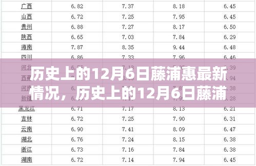 多元观点探讨