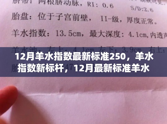 12月羊水指数最新标准250，新标杆下的羊水指数评测与介绍