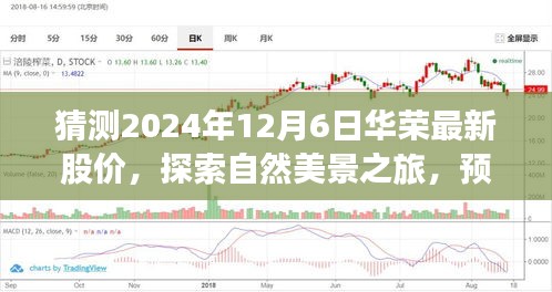 探索自然美景之旅与华荣股价预测，寻找内心的平和与宁静（XXXX年XX月XX日华荣最新股价猜想）