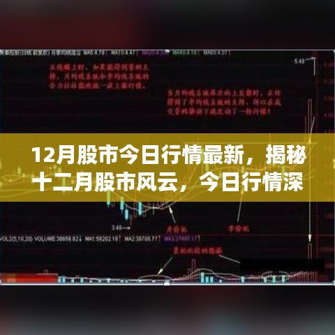 揭秘十二月股市风云，最新行情深度解析与预测