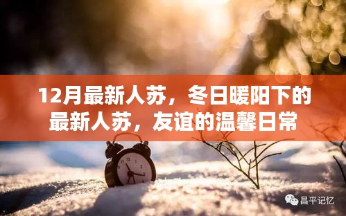 芒屩布衣 第3页