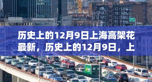 独家报道