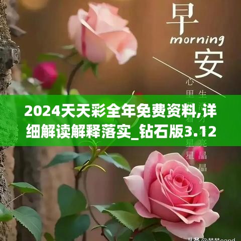 2024天天彩全年免费资料,详细解读解释落实_钻石版3.125