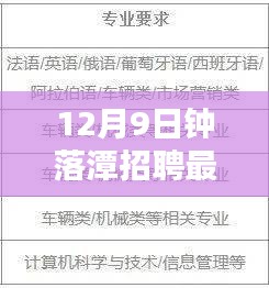 钟落潭最新临时工招聘详解，特性、体验、对比及用户群体分析
