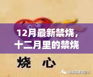 郑重其事 第3页