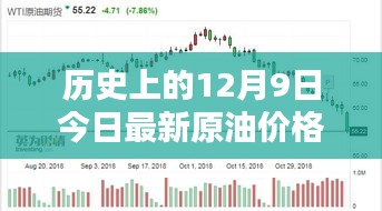 最新动态深度解析