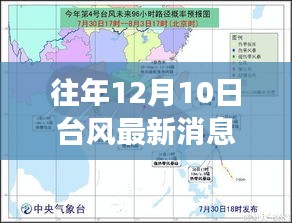 福建厦门台风最新消息，台风日的温馨日常故事