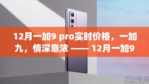 12月一加9 Pro实时价格揭秘，情深意浓的手机之旅