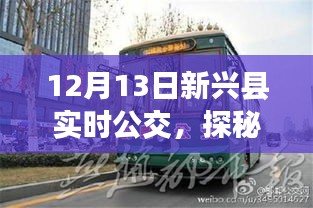 探秘新兴县小巷深处的公交时光，特色小店与实时公交之旅（12月13日）