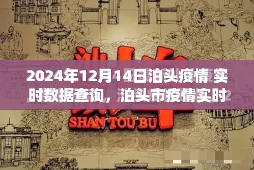 泊头市疫情实时数据报告，最新动态与数据查询（2024年12月14日）