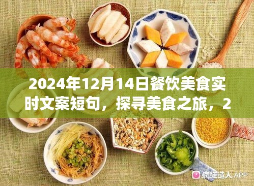 探寻美食之旅，2024年12月14日餐饮美食概览与实时文案短句分享