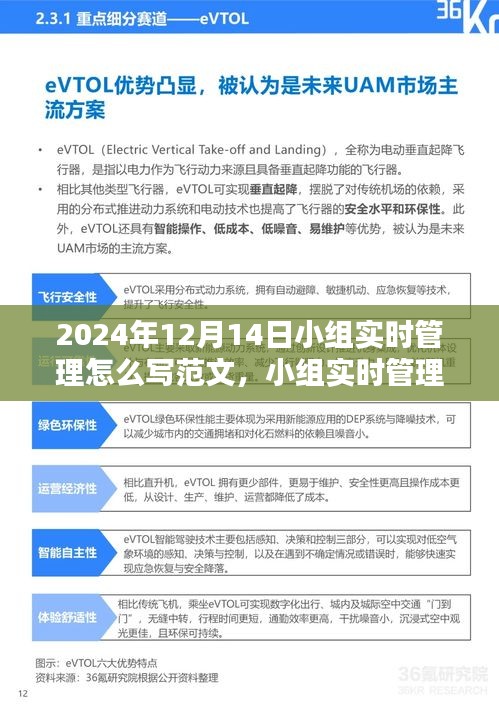2024年12月14日小组实时管理范文，打造高效协作团队的经验分享