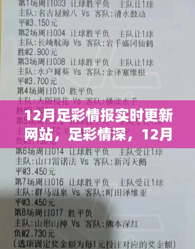 12月足彩情报更新，赛场风云与日常故事，足彩情深