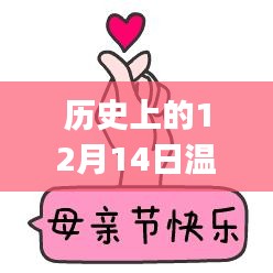 温州公交app免费日，温馨相遇与陪伴之旅