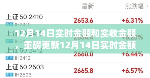 重磅更新，12月14日实时金额与实收金额解析——财务健康指数提升的关键时刻
