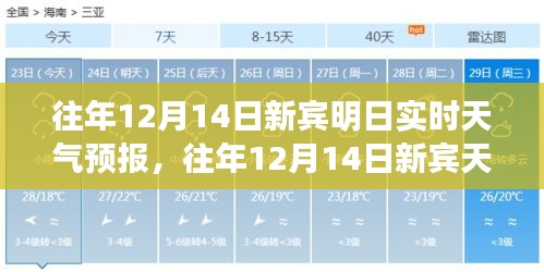 往年12月14日新宾天气预报概览及实时分析，明日天气预报概览与趋势预测