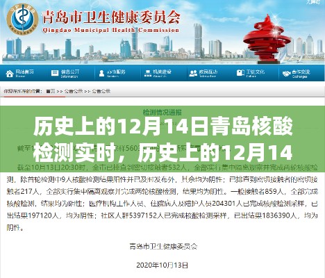 历史上的12月14日青岛核酸检测全面评测与介绍