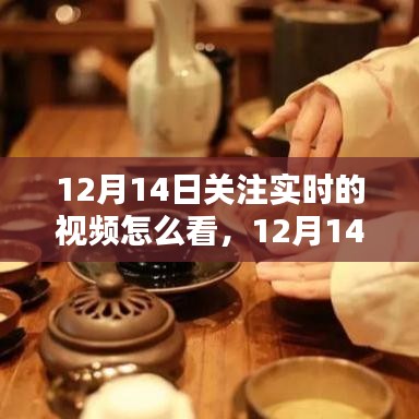 12月14日实时视频探索自然美景，寻找心灵宁静与平和之旅