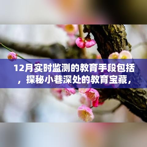 探秘小巷深处的教育宝藏，揭秘十二月实时教育监测新手段