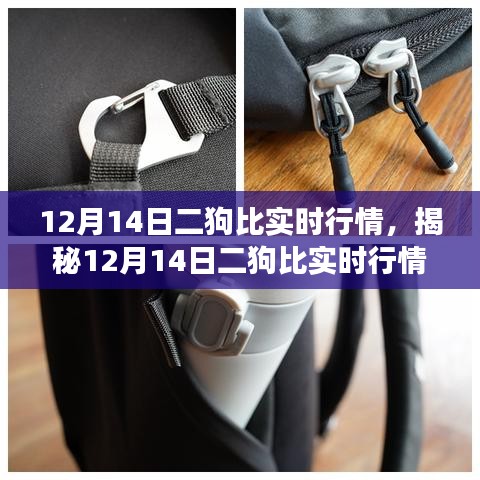 揭秘12月14日二狗比实时行情，深度解析市场走势，把握投资机会！