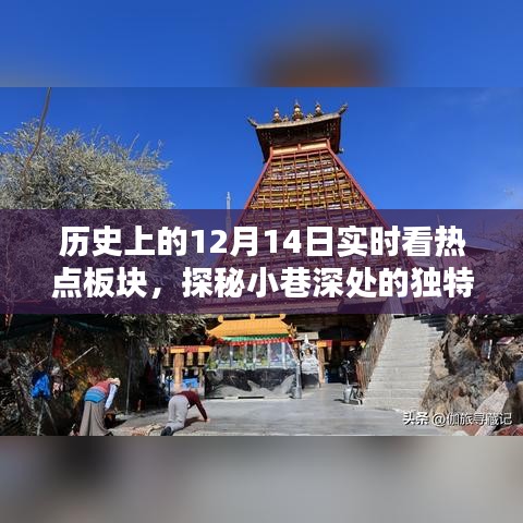 历史上的十二月十四日，热点板块探秘与小巷独特风味之星