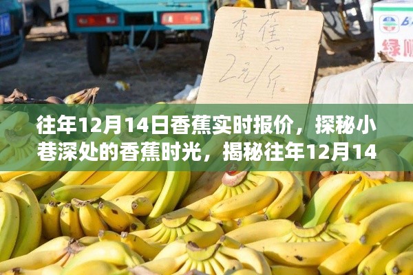 探秘香蕉时光，揭秘往年12月14日香蕉实时报价背后的故事与小巷深处的秘密