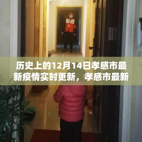 孝感市最新疫情实时更新系统，科技前沿守护孝感健康体验新篇章
