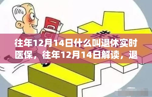 解读退休实时医保，历年12月14日的深度探讨与意义解析