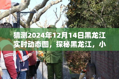 探秘黑龙江，未知实时动态下的特色小巷小店，预测黑龙江未来实时动态图（2024年12月14日）