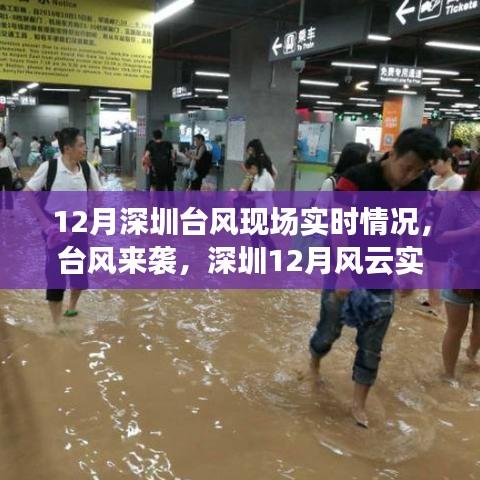 滔滔不绝 第3页